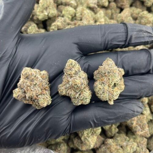 Black Gelato Runtz