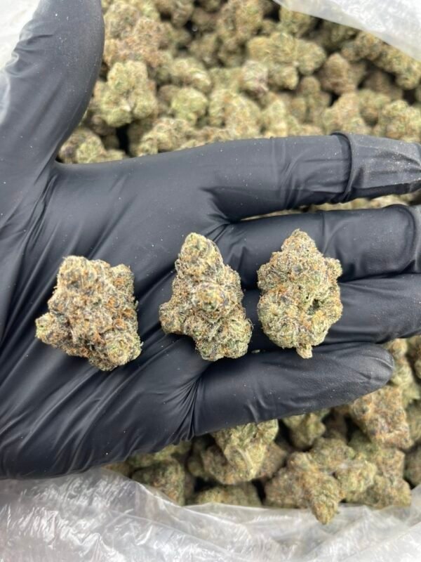 Black gelato runtz Black Gelato Runtz